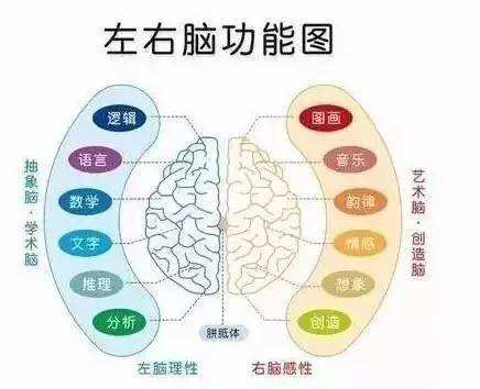 什么是间脑开发？