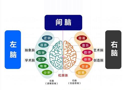 Right Brain Development Stage 1 (Right brain Training exercises)