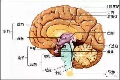 Three Methods of memory